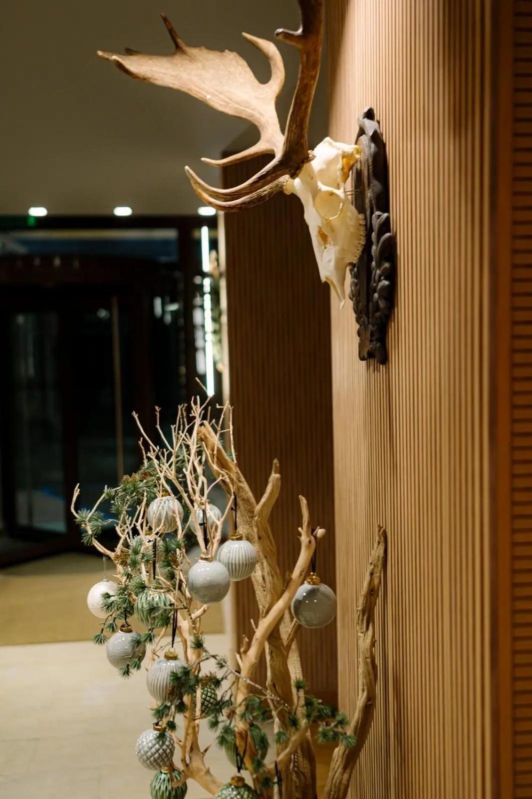 The Lodge Hotel Borovets Exterior foto